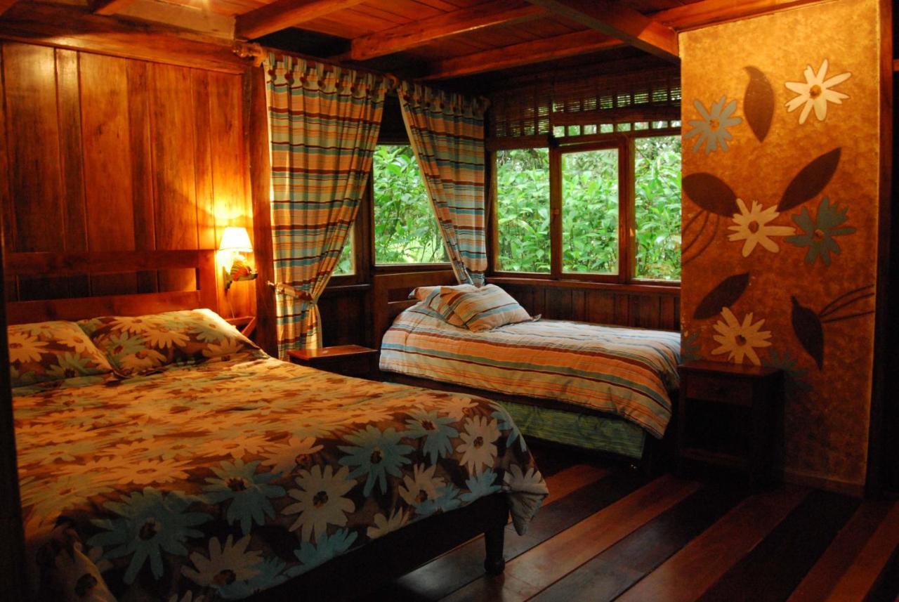 Mindo Garden Lodge And Wildlife Reserve Dış mekan fotoğraf